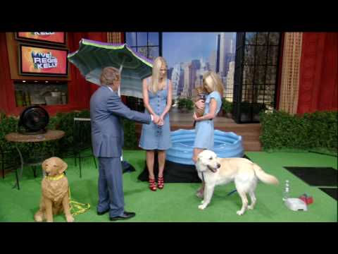 [HD] Dog Pees & Poops Live on TV - Regis & Kelly - Howard Stern's Wife Beth Ostrosky's Retriever