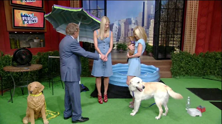 [HD] Dog Pees & Poops Live on TV - Regis & Kelly -...