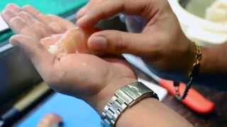 Professional Series Sushi Nigri