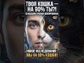 Твой кот — это ТЫ на 90%! 🧬