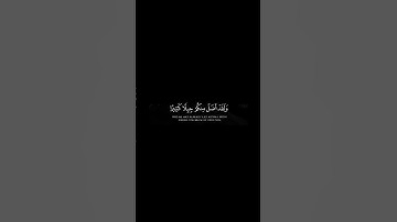 #احمد_النفيس #سورة_يس