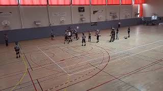 Bananastorms (Chalon-Macon) VS Powerpouff (Dijon AmS-Pontarlier) 2ème mi-temps