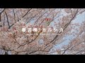 【ふたりアカペラ】春泥棒/ヨルシカ a cappella cover by Momoko &times; Youna