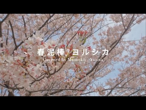 【ふたりアカペラ】春泥棒/ヨルシカ a cappella cover by Momoko × Youna
