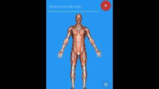 Treningovy dennik Workout Log
