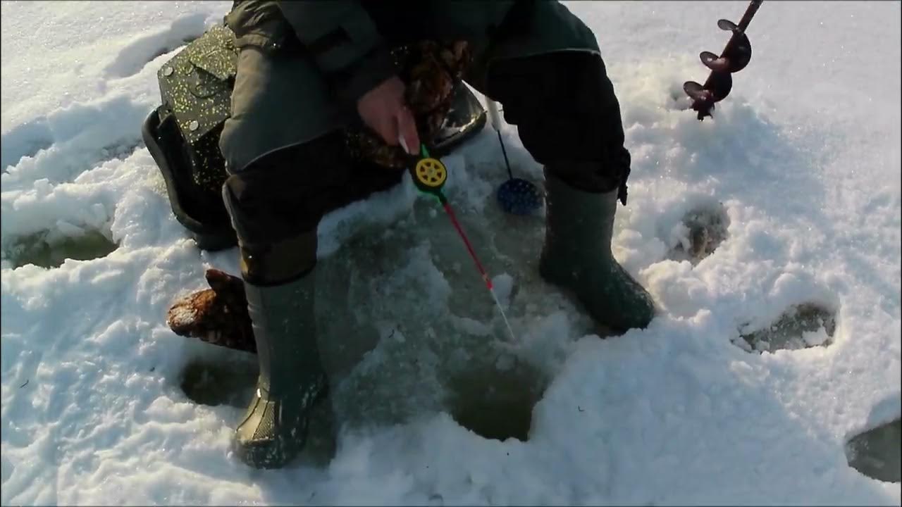 мордушка ловушка для рыбы.