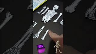 İSKELET KUKLA Yapımı 🔥🔥🔥 5 . Sınıf Fen Ödevi 🏫🏫🏫 #keşfet #ödev #okulödevi #amazing #funny #origami