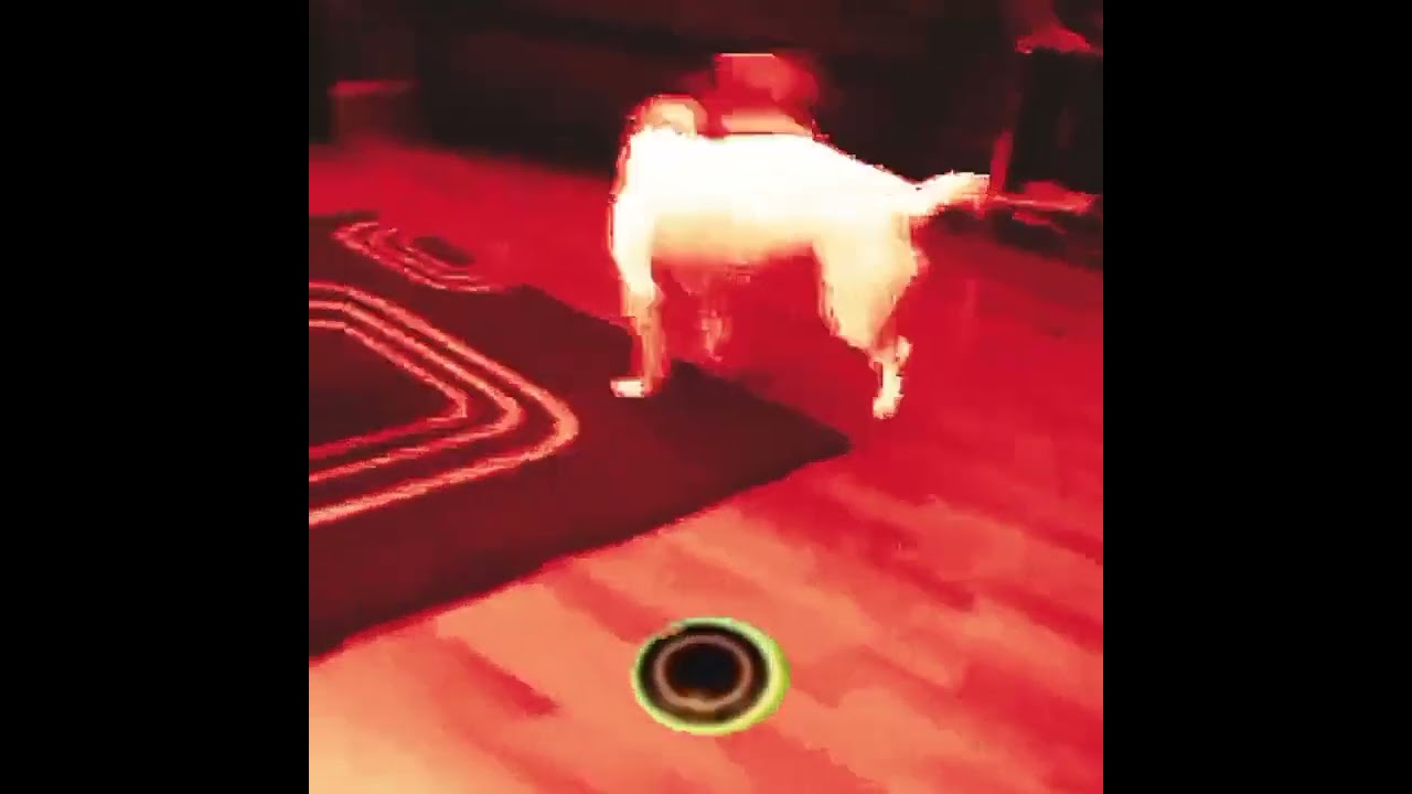 ZEUS... YOUR PRINCESS HAS RETURNED... I COME SEEKING... THE TODDLERS OF OLYMPUS! || 