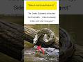 Snake attack on crocodile #snake #ukwildlife #usawildlife #naturefacts #shorts