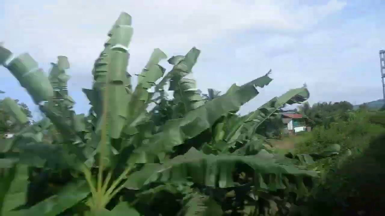 Railway journey Kasu to Goregaon 🚄#indian