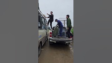 Máy thái gừng điện 220v , công xuất 1000kg/h #máytháigừng