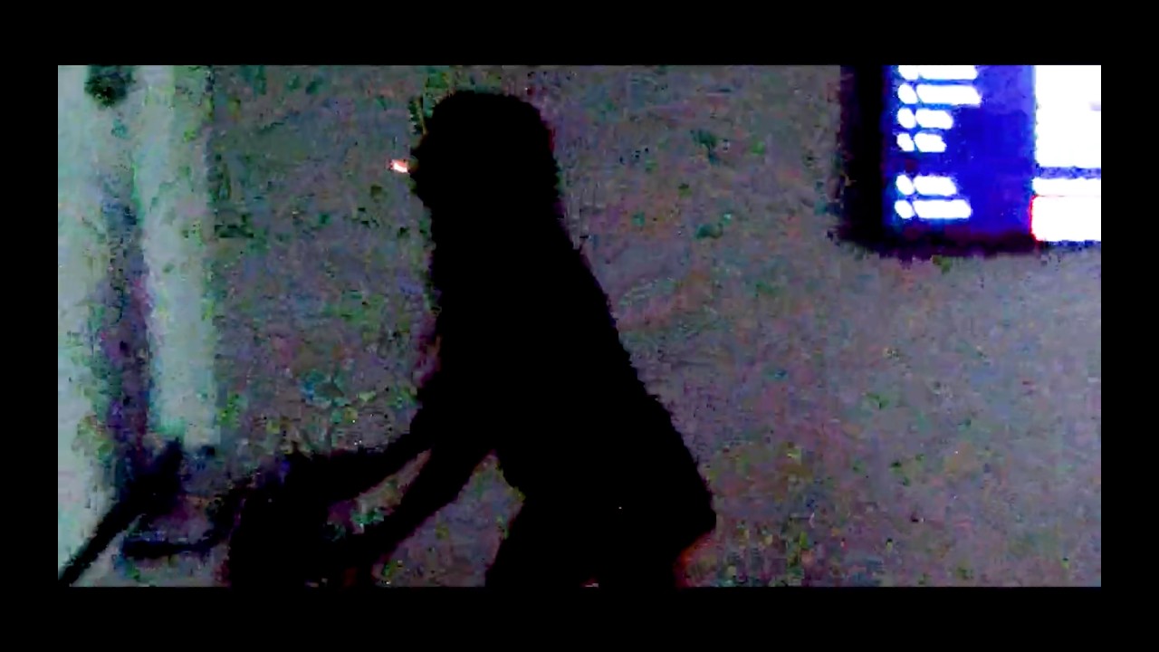 SARAMALACARA - 1PM (prod. Aaron Shadrow, Lucian, dayvan) (Video Oficial) adlı videoyu YouTube'da izle SARAMALACARA - 1PM (prod. Aaron Shadrow, Lucian, dayvan) (Video Oficial) adlı videoyu YouTube'da izle