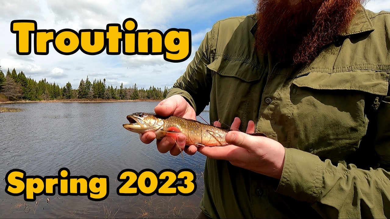 Trouting Trip In Newfoundland - Spring 2023 - YouTube