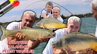 PONTYOS KALANDOK-PELLET WAGGLER