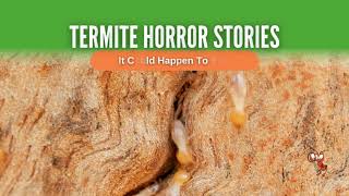 Sterling Termite Horror Stories