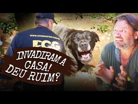 INVADIRAM MINHA CASA MAS MEUS CACHORROS PEGARAM! | A CASA DOS BICHOS