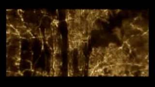 The Host fan trailer