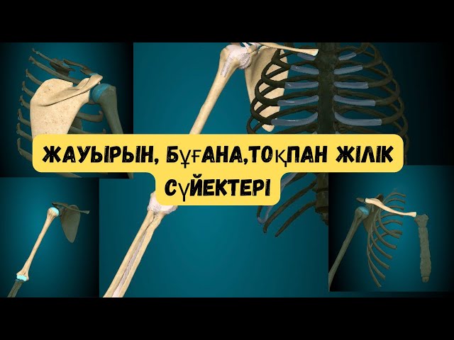 Томпақ әйелімен жеке түсірілім Томпақ әйелімен жеке түсірілім