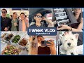 【1週間VLOG】夫とイベント参加、出張パッキング、雑誌撮影、作り置き、爆買いも!?お届けします♪