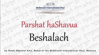 Weekly Parsha with Rav Raphael Katz - 5783 - Beshalach