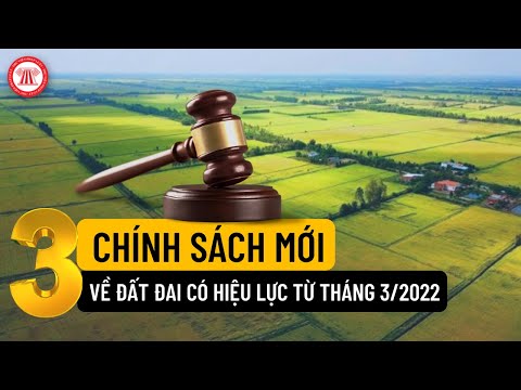 03 Chính Sách Mới Về Đất Đai Có Hiệu Lực Từ Tháng 3/2022 | TVPL