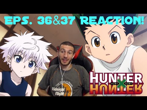 The Fight Ends Learning About Ging Hunter X Hunter Episodes 36 37 Reaction Youtube