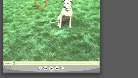 Flash CS4 105: Encoding Video for Adobe CS4 - 03. Updating QuickTime Mac