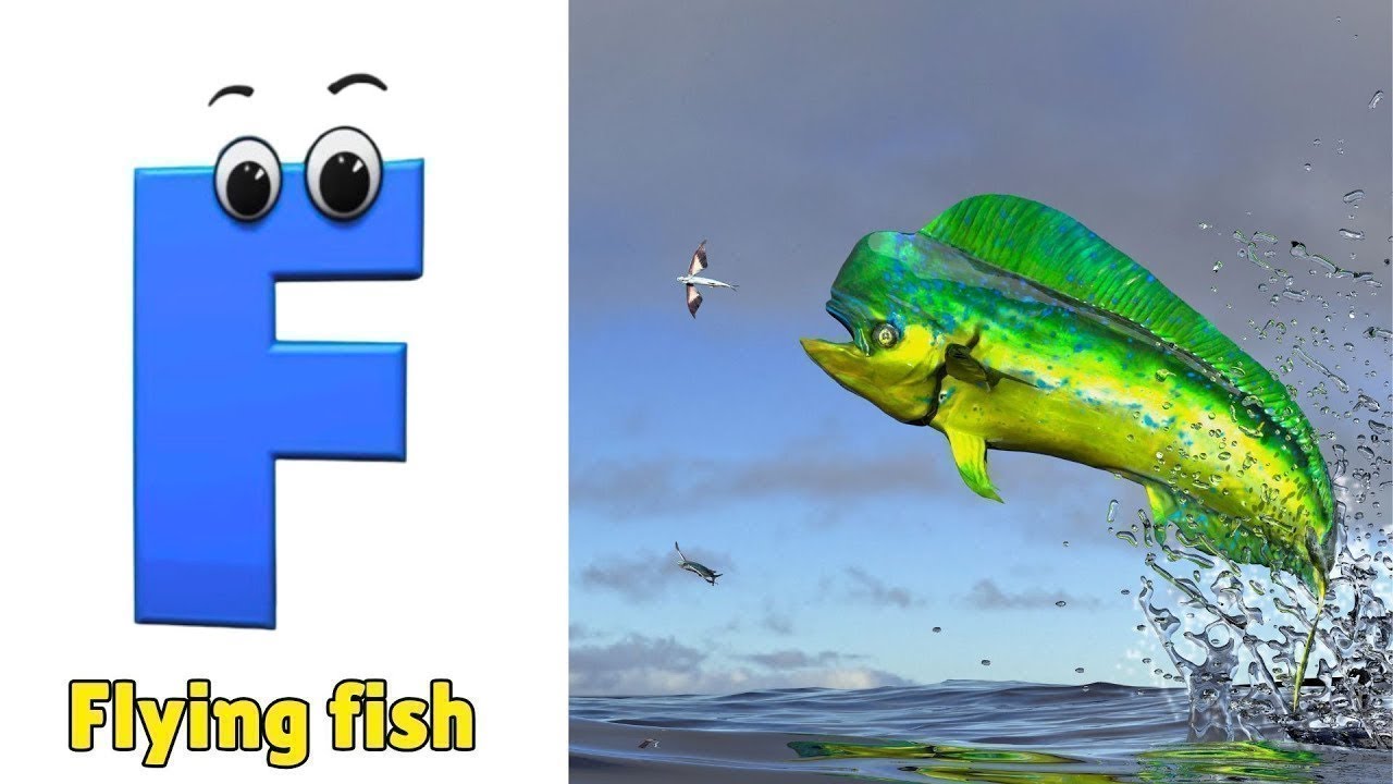 Песенка про алфавит | Песенка про морских животных | Фонетика для детей, изучение алфавита, буквы...