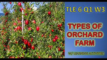 TYPES OF ORCHARD FARMS / TLE 6: Agriculture Week 3 / K-12 MELC Based
