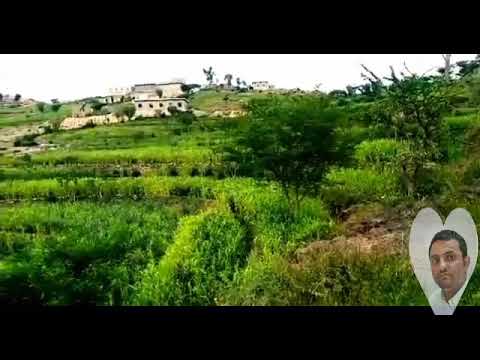 شكرآ جزيلآ صالح اليامي