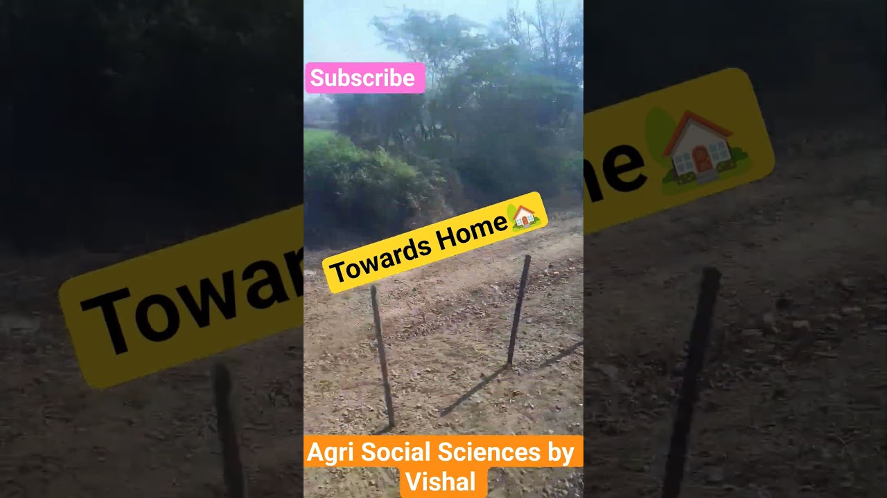 #struggletosuccess #assistantprofessorjobs#motivationforstudy#shorts#shortsfeed#viralkardo#subscribe