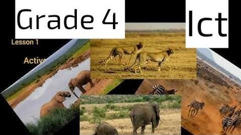 #ict #grade_4 theme 4 lesson 1 second term