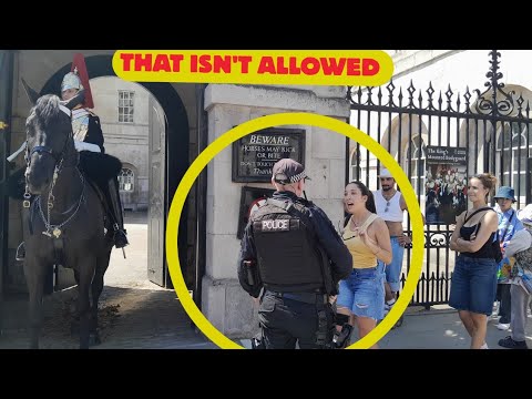 OUT-OF-CONTROL Girls Bother Guard’s Horse Before Police Officer Takes Charge — MOD Response