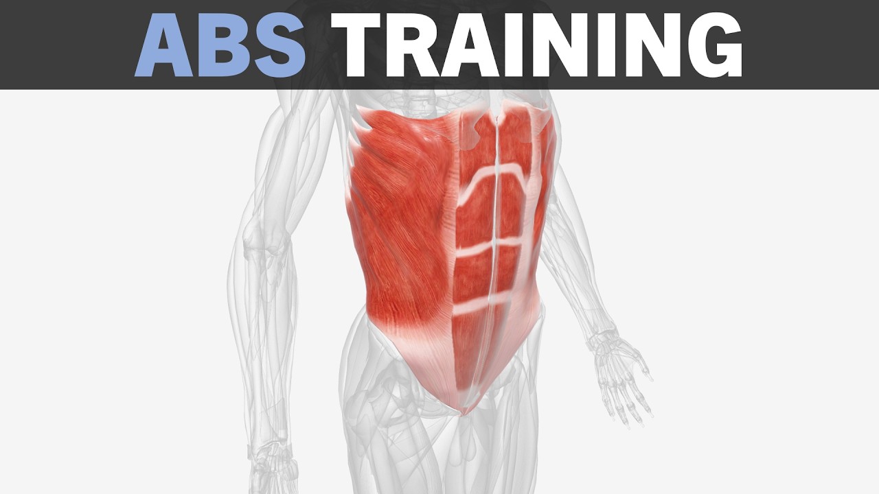 Abdominals Hypertrophy Training Fundamentals