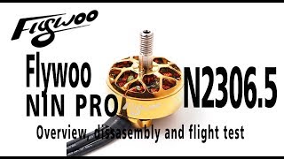 FLYWOO NIN PLUS N2306.5 1750KV 2-6S Brushless Motor - Gold.