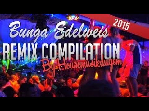  Bunga  Edelweis  House  Music  Remix YouTube