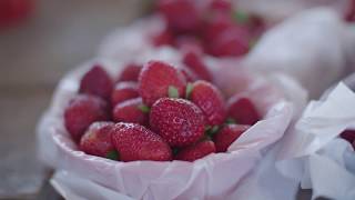 Farm to Fork: The Food System