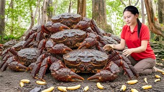 Harvesting Giant Stone Crabs \u0026 Goes to Market Sell – Living in a New Treehouse in the Forest