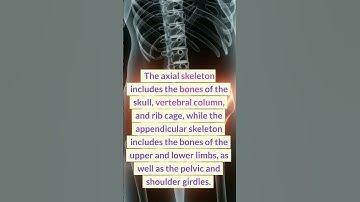 Human Skeleton part 3 #human #shorts #short #shortvideo #part 3 #skeleton
