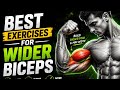 8 Best Exercises for Wider Biceps | Build Bigger Peak & Thicker Arms 💪🔥