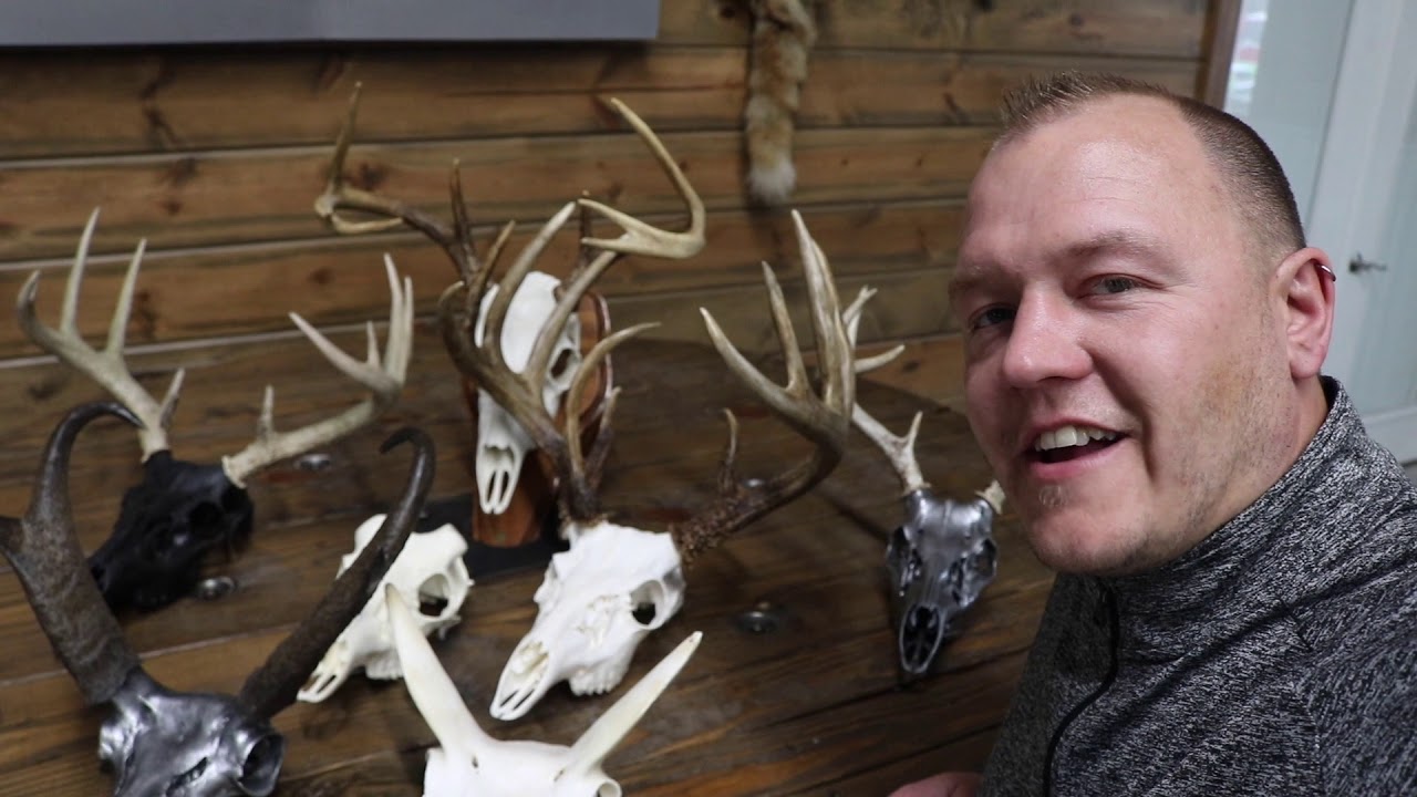 EUROPEAN MOUNT TALK HUNTING UP NORTH OUTDOOR MADNESS YouTube