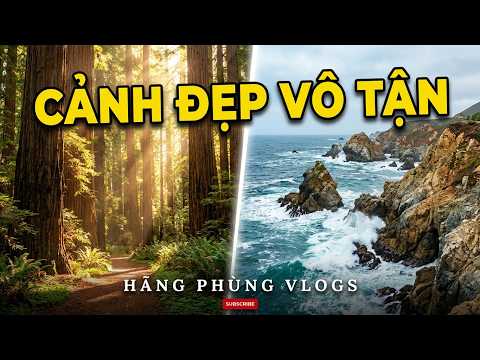 Cảnh Đẹp Vô Tận Trên Đường Đi Monterey Bay | Thưởng Thức Ẩm Thực Đặc Sản | Du Lịch SF Phần 2