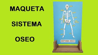 Como Hacer una Maqueta del Sistema Oseo