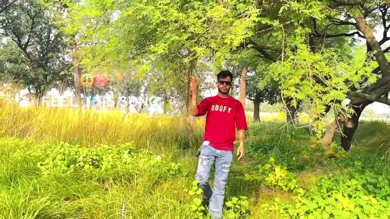 Nature Vibes | Peaceful Walk in Green