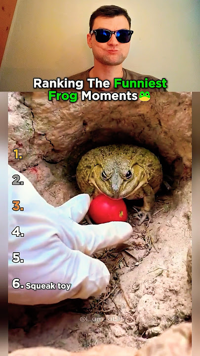 Top 6 Frog Moments That Made Us Laugh!
