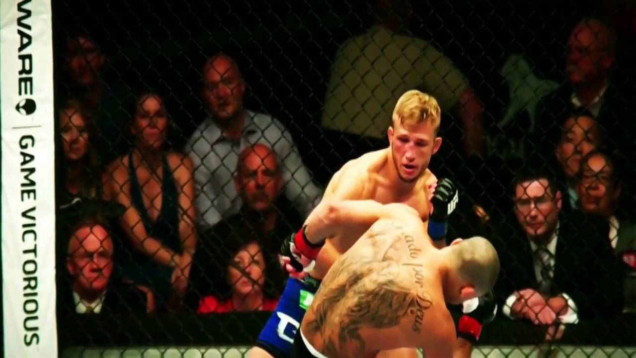 Tj Dillashaw Vs Dominick Cruz Highlights - YouTube