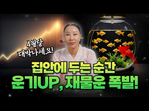 집안에 두는순간 운기UP,  재물운 폭발하는 물건 공개합니다🔥/일산용한점집 [더샤머니즘]