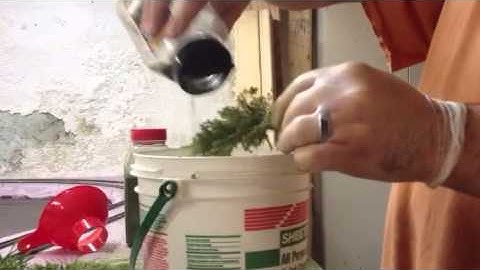 How to make ho train pine trees on the cheap