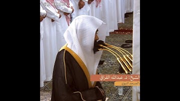 مستهم البأساء والضراء ~ تلاوة خاشعة تأخذك لعالم آخر لأول صلاة للشيخ عبدالله القرافي بالمسجد النبوي🤍🎧