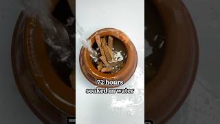 Slate soaked in water for 72 hours #shorts #viral